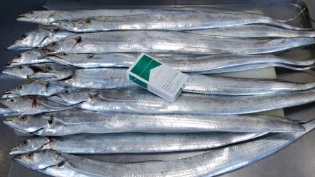 浮き釣りタチウオ、ちょっとワインド